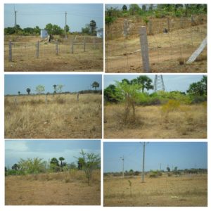 ALANKULAM 38 ACRES 1