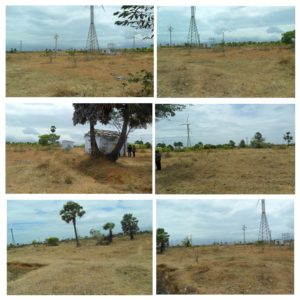 ALANKULAM 38 ACRES 3